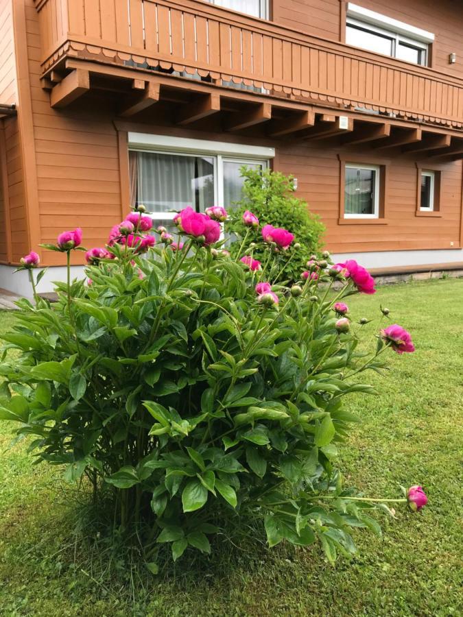 Chalet Yulia Zell am See Eksteriør bilde